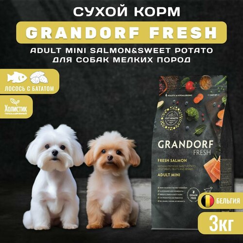 Сухой корм GRANDORF Fresh Dog Adult MINI Salmon&Sweet Potato для собак мелких пород из свежего филе лосося с бататом, 3 кг фотография