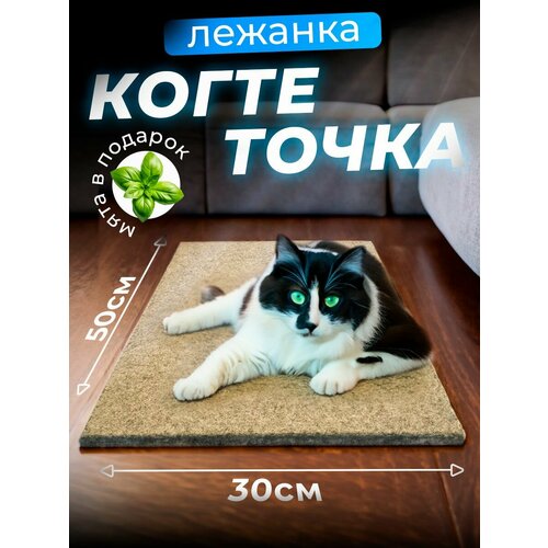 Когтеточка для кошки напольная лежанка с кошачьей мятой, 50х30 см/ бежевая фотография