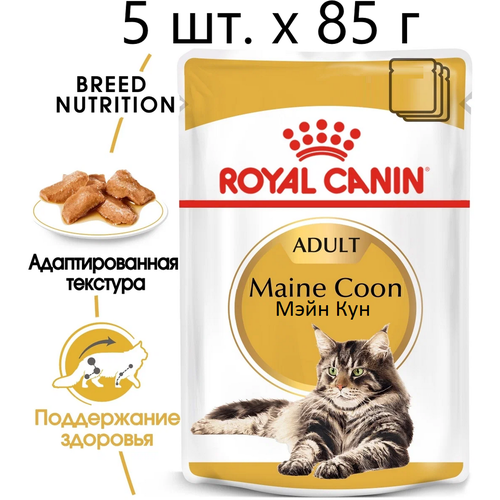 Влажный корм для кошек Royal Canin Maine Coon Adult, для взрослых кошек породы мейн-кун, 5 шт. х 85 г (кусочки в соусе) фотография