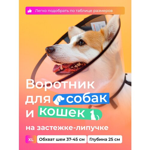 Воротник защитный ветеринарный для собак и кошек № 25 см, на липучке / AniMall фотография