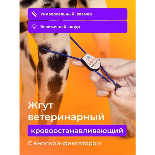 Ветеринарный инструмент - жгут AniMall кровоостанавливающий с фиксатором / Синий фотография