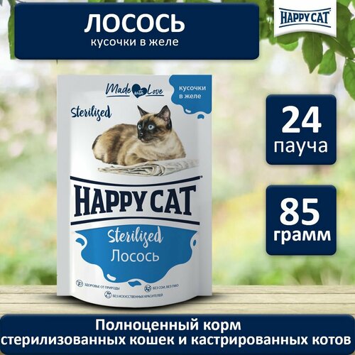 Корм влажный для стерилизованных кошек Хэппи Кэт (Happy Cat) Лосось кусочки в желе, пауч (24шт*85гр) фотография