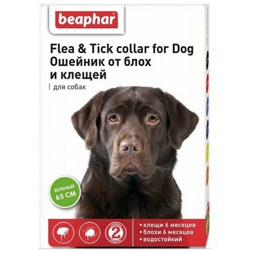 фотография Beaphar ошейник от блох и клещей Flea & Tick. для собак и кошек, 65 см, зеленый 1 уп., купить онлайн 651 рубл