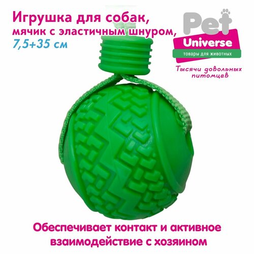 Игрушка для собак Pet Universe мячик с эластичным шнуром шнуром 35х7,5 см, ТПР+полиэстер, 110 гр, зелёный PU3055GN фотография