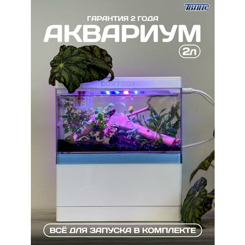 Мини-аквариум JINGYE с фильтром и подсветкой, 2 литра, белый, прямоугольный, 22х18х10 фотография