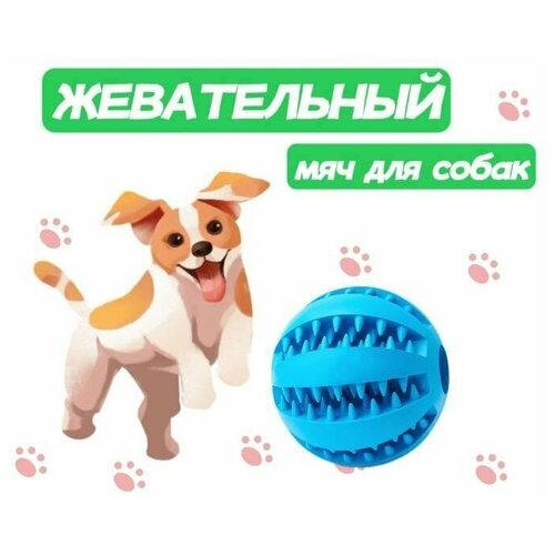 Жевательная игрушка мяч для собак и кошек, шарик для чистки зубов 5см фотография