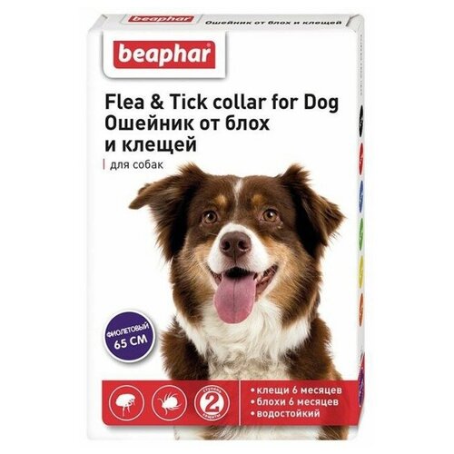 фотография Beaphar ошейник от блох и клещей Flea & Tick. для собак и кошек, 65 см, фиолетовый 1 уп., купить онлайн 575 рубл