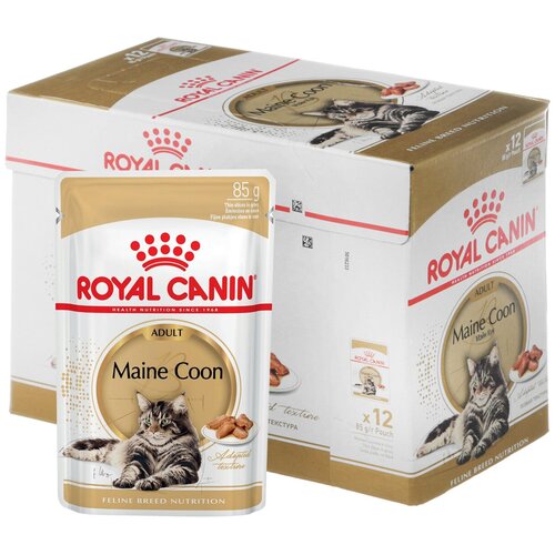 фотография Влажный корм для взрослых кошек Royal Canin Мейн-кун, для здоровья кожи и блеска шерсти, мясное ассорти 12 шт. х 85 г (кусочки в соусе), купить онлайн 1350 рубл