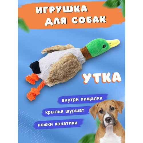 Игрушка 