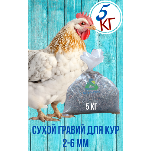 Сухой гравий 2-6 мм для кур, мешок 5 кг фотография