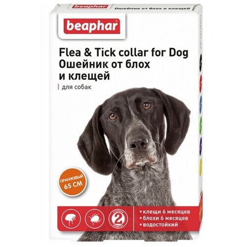 фотография Beaphar ошейник от блох и клещей Flea & Tick. для собак и кошек, 65 см, оранжевый 1 уп., купить онлайн 603 рубл