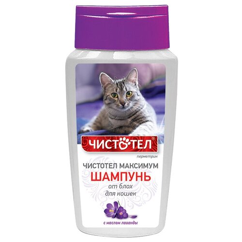 ЧИСТОТЕЛ шампунь от блох и клещей Максимум для кошек 1 шт. в уп., 1 уп. фотография