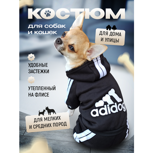 Комбинезон Adidog для собак и кошек, демисезонный, размер S, черный, унисекс, с капюшоном фотография