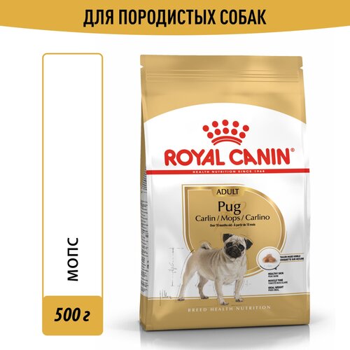 Сухой корм для собак Royal Canin породы Мопс 1 уп. х 1 шт. х 500 г (для мелких пород) фотография