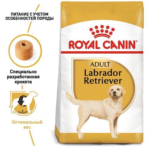 Сухой корм для собак Royal Canin Лабрадор Ретривер 1 уп. х 2 шт. х 12000 г (для средних и крупных пород) фотография