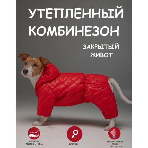 Комбинезон для собак DOGMODA стеганный девочка спина 28 см фотография