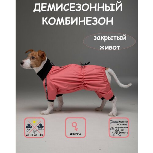 Комбинезон для собак DOGMODA Классик девочка коралл размер 3 фотография