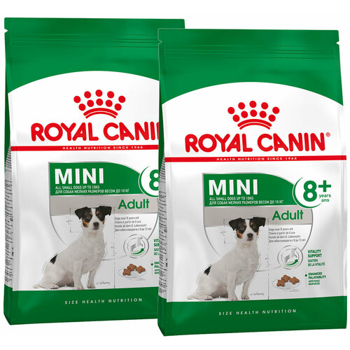 ROYAL CANIN MINI ADULT 8+ для пожилых собак маленьких пород старше 8 лет (2 + 2 кг) фотография