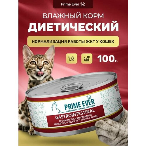 Влажный корм для кошек Prime Ever VET Gastrointestinal при расстройствах пищеварения 100 г фотография