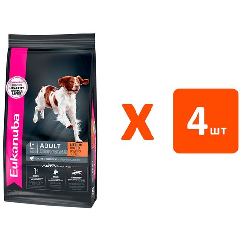 EUKANUBA ADULT MEDIUM BREED для взрослых собак средних пород с птицей (3 кг х 4 шт) фотография