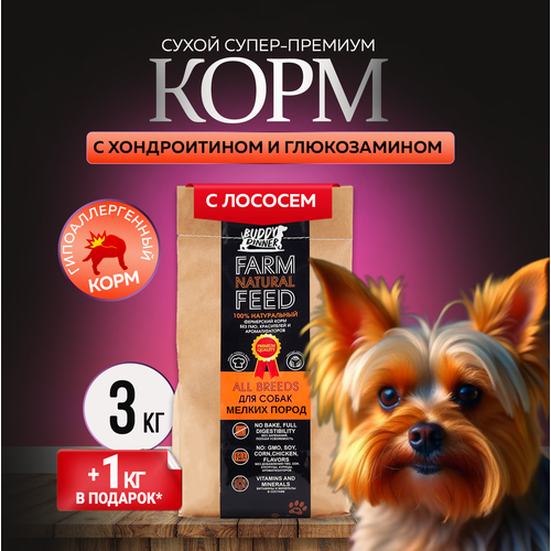 Сухой корм для собак мелких пород Buddy Dinner Orange Line Hypoallergenic с лососем 3 кг + 1 кг в подарок фотография