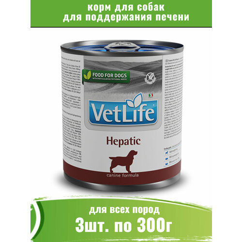 Farmina Vet Life Dog Hepatic 3шт по 300г корм для собак при заболеваниях печени фотография