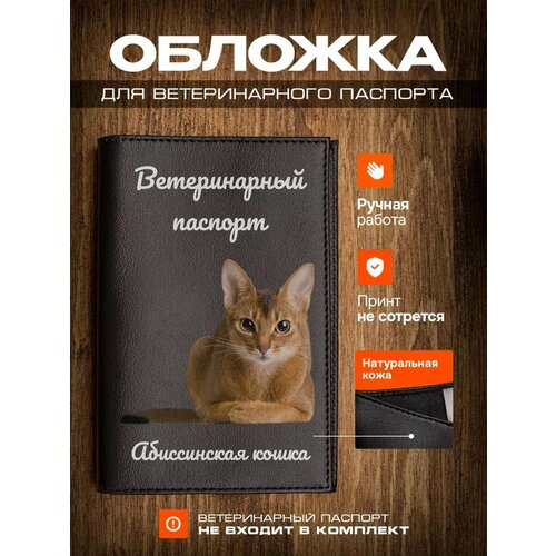 Обложка на ветеринарный паспорт для кошек с принтом Абиссинская кошка фотография