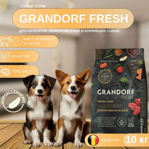 Сухой корм GRANDORF Fresh DOG JUNIOR Lamb&Sweet Potato для юниоров из свежего мяса ягненка с бататом, 10 кг фотография