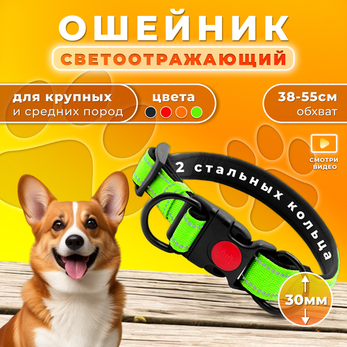 Ошейник Doggy&Dog Shop, для крупных и средних собак, с двумя кольцами, светоотражающий, зеленый фотография