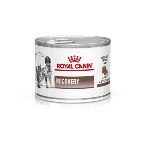 Влажный корм для собак Royal Canin Recovery в период восстановления после операции 1 уп. х 1 шт. х 195 г фотография