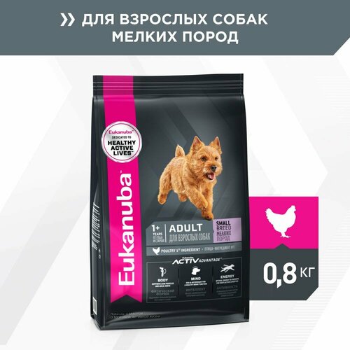 EUKANUBA ADULT SMALL BREED 800 гр сухой корм для взрослых собак мелких пород 3шт фотография