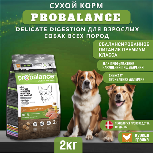 Сухой корм ProBalance Delicate Digestion для собак с курицей и гречкой, для профилактики нарушения пищеварения, 2 кг фотография