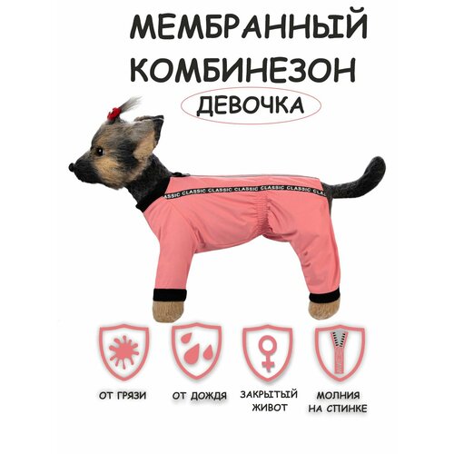 Комбинезон для собак Мартин Dogmoda девочка коралловый 2 фотография