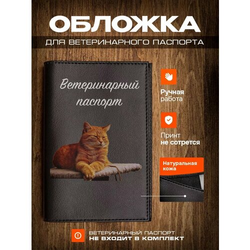 фотография Обложка на ветеринарный паспорт для кошек с принтом рыжая кошка, купить онлайн 899 рубл