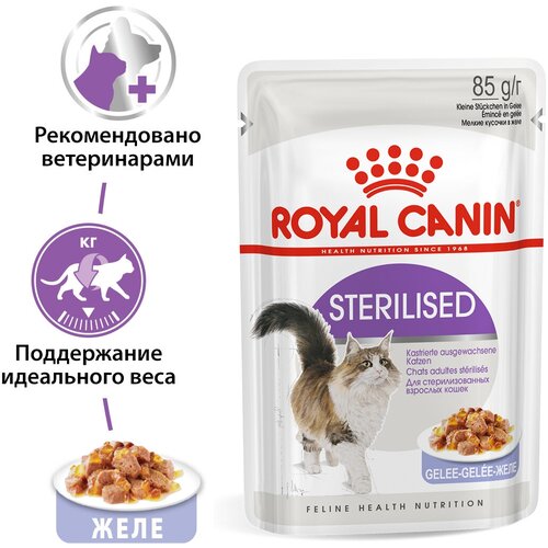 Влажный корм желе для кошек Royal Canin Sterilised (Стерилайзд) для стерилизованных кошек в возрасте от 1 до 7 лет, 24x0.085кг фотография