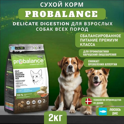 Сухой корм ProBalance Delicate Digestion для взрослых собак всех пород с лососем и рисом, при нарушении пищеварения, 2 кг фотография