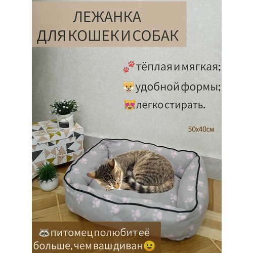 Лежанка для собак и кошек прямоугольная, 40*50 см, серая с розовыми лапками фотография