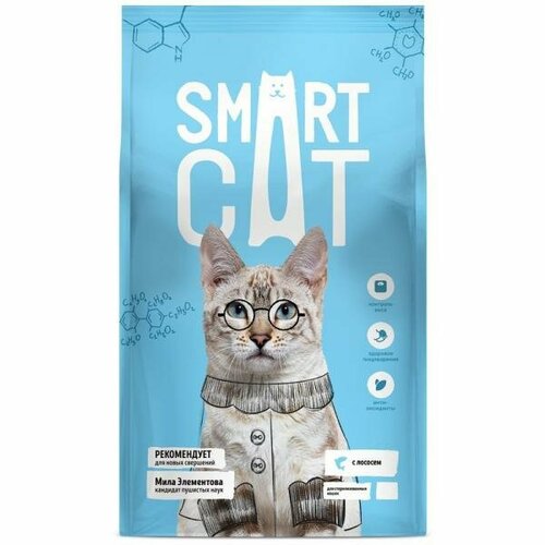 SmartCat Сухой корм для стерилизованных кошек с лососем, 0.4 кг фотография