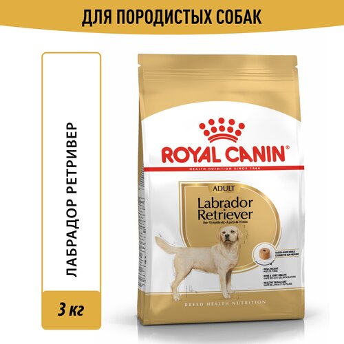 Корм для собак Royal Canin Labrador Retriever (Лабрадор Ретривер Эдалт) Корм сухой для взрослых собак породы Лабрадор Ретривер от 15 месяцев, 3 кг фотография