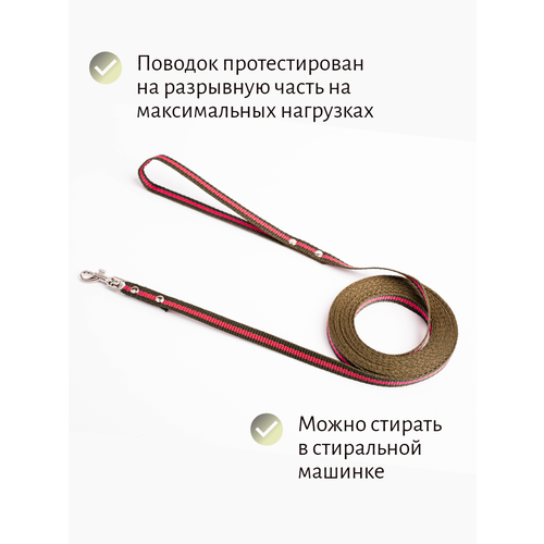 Поводок Хвостатыч для собак нейлоновый классический 1 м х 10 мм (зелено-красный) фотография