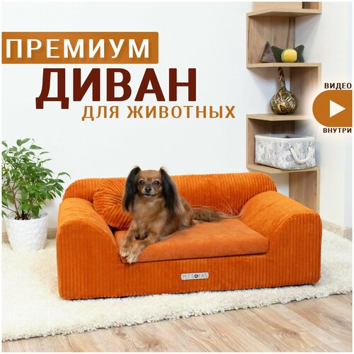 Лежанка-диван для собак и кошек. Деревянный каркас. I Лежак оксфорд - PET SOFAS I Размер - S фотография