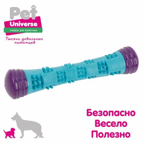 Игрушка для собак Pet Universe Многофактурная жевательная палочка с шипами 23х5 см, 125 гр ТПР, PU3069 фотография