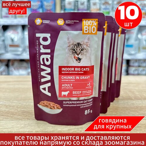 Влажный корм AWARD Indoor big cats для взрослых домашних кошек крупных пород кусочки в соусе с говядиной 85г х 10шт фотография