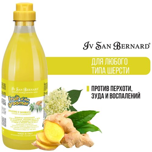 Iv San Bernard Fruit of the Grommer Ginger+Elderbery Шампунь для любого типа шерсти против раздражений и перхоти, 1 л фотография