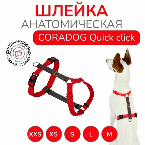 Шлейка прогулочная анатомическая для мелких пород собак и кошек, CORADOG Quick click, размер XXS, цвет красный, серый фотография