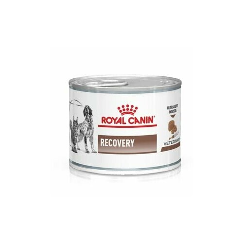 Royal Canin Recovery (мусс) 6шт х 195г фотография