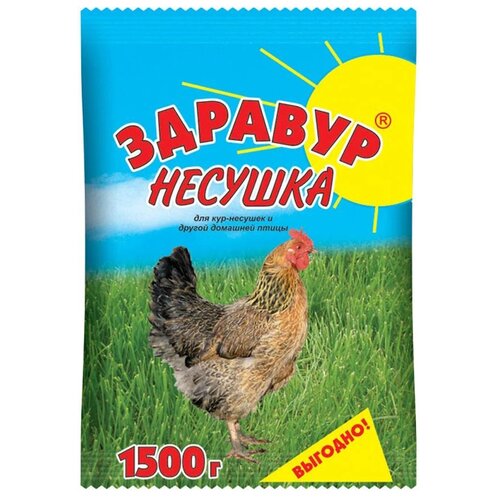 Премикс для гусей и уток, индюков, кур, перепел Здравур Несушка  1500 г   пакет фотография