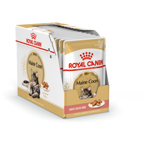 Корм для кошек Royal Canin Maine Coon Adult (Мейн Кун Эдалт) Корм консервированный для взрослых кошек породы Мэйн Кун, соус, 24x85г фотография