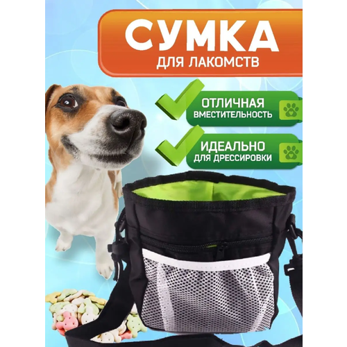 Сумка, сумочка для лакомств, для прогулок с собакой, сумка для животных, для дрессировки, цвет черный фотография