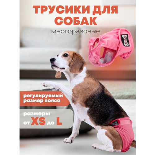 Трусы многоразовые PET&HOME для собак, подгузник для собак, полиэстер, розовый, размер M фотография